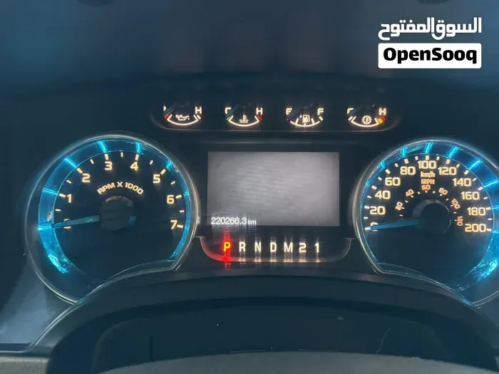 Ford F-150 2014 photo 2