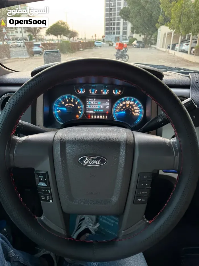 Ford F-150 2014 photo 3