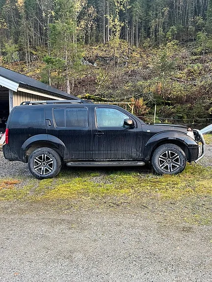 Nissan Pathfinder 2006 photo 5