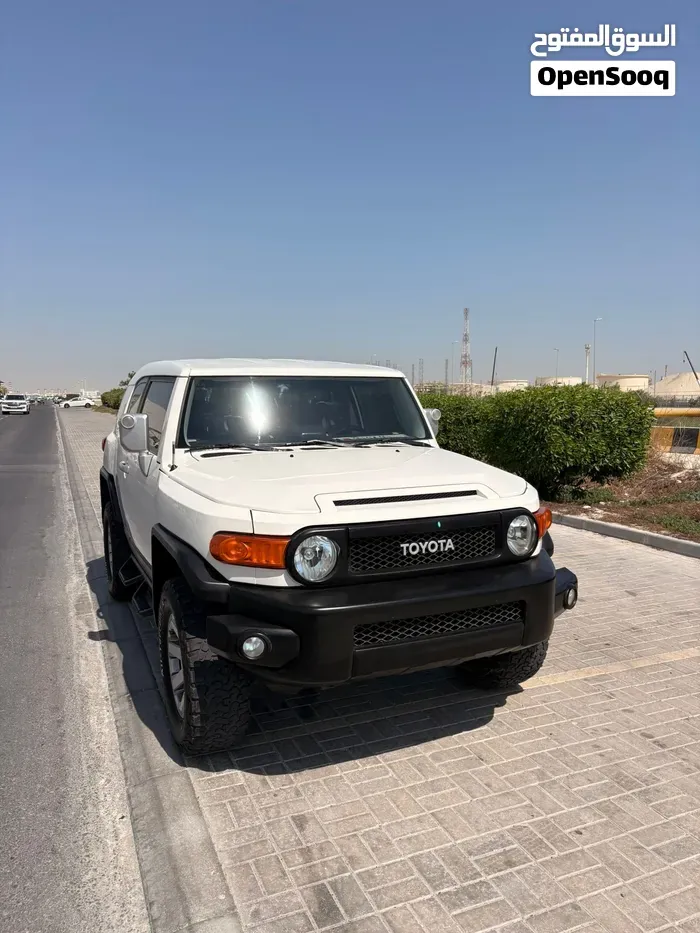Toyota Fj Cruiser 2019 photo 2