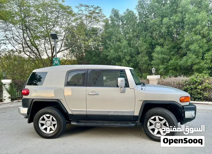 Toyota Fj Cruiser 2019 photo 5