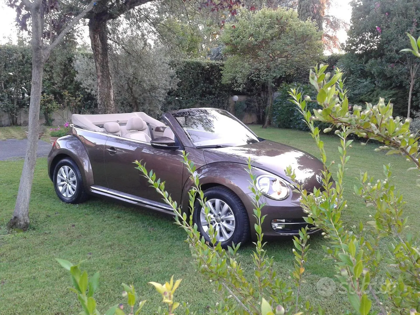Volkswagen Maggiolino 2015 photo 3
