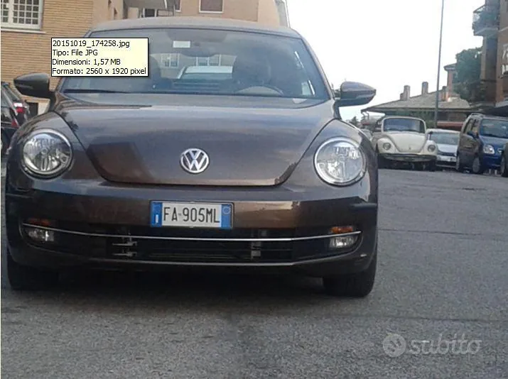 Volkswagen Maggiolino