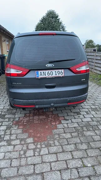 Ford Galaxy 2010 photo 3