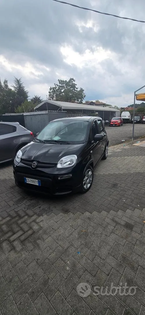 Fiat Panda 2024 photo 2