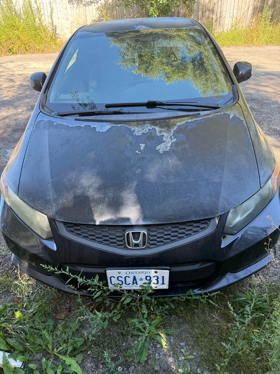 Honda Civic 2012 photo 3