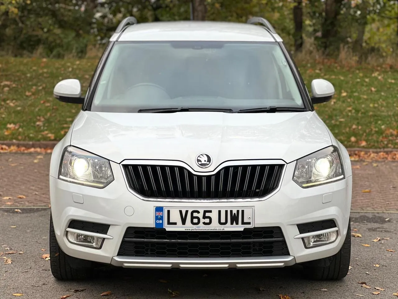 Skoda Yeti 2015 photo 3