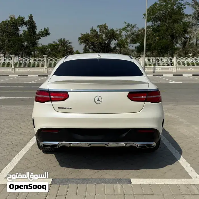 Mercedes-Benz Gle-43 Amg 2019 photo 4