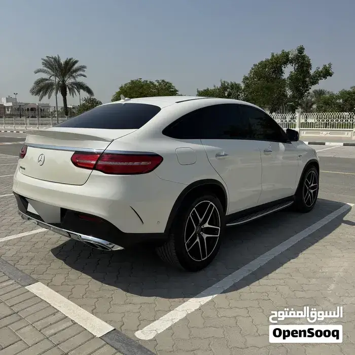 Mercedes-Benz Gle-43 Amg 2019 photo 3