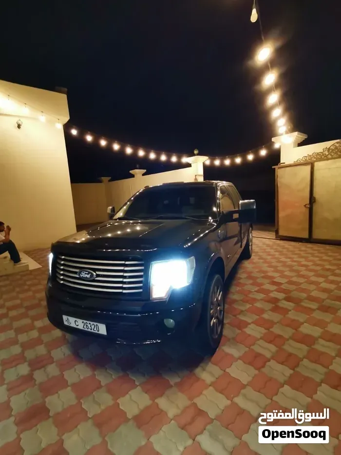 Ford F-150 2012 photo 5