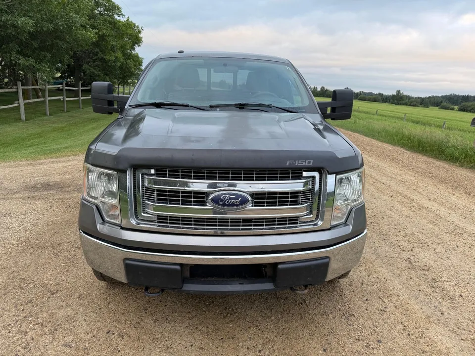Ford F-150 2011 photo 3