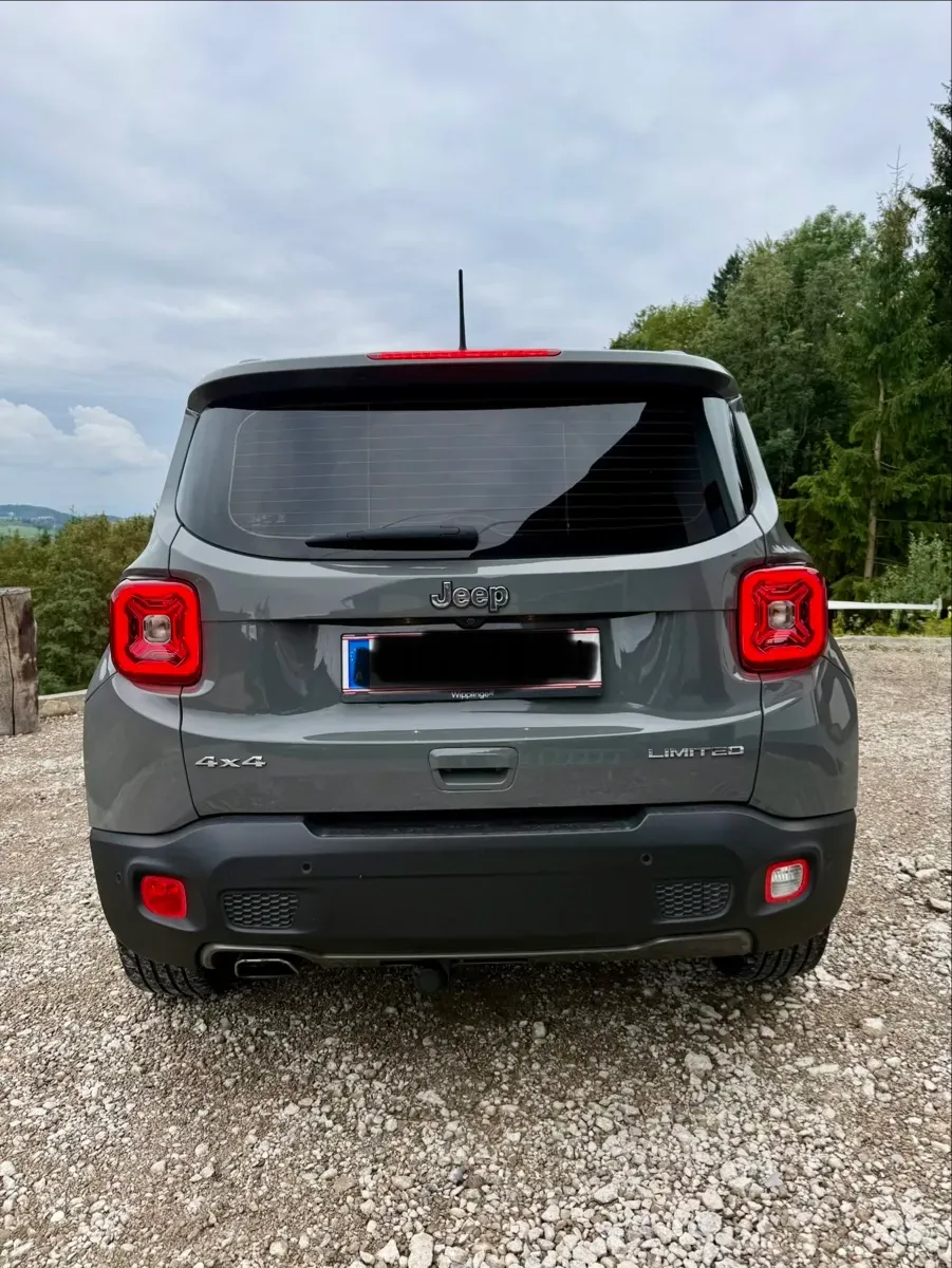 Jeep Renegade 2019 photo 3