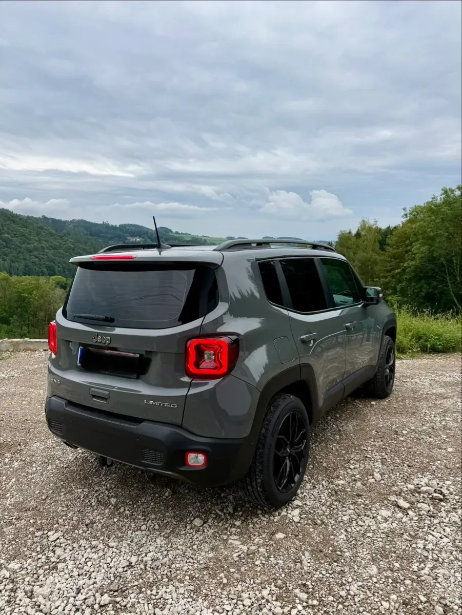 Jeep Renegade 2019 photo 2