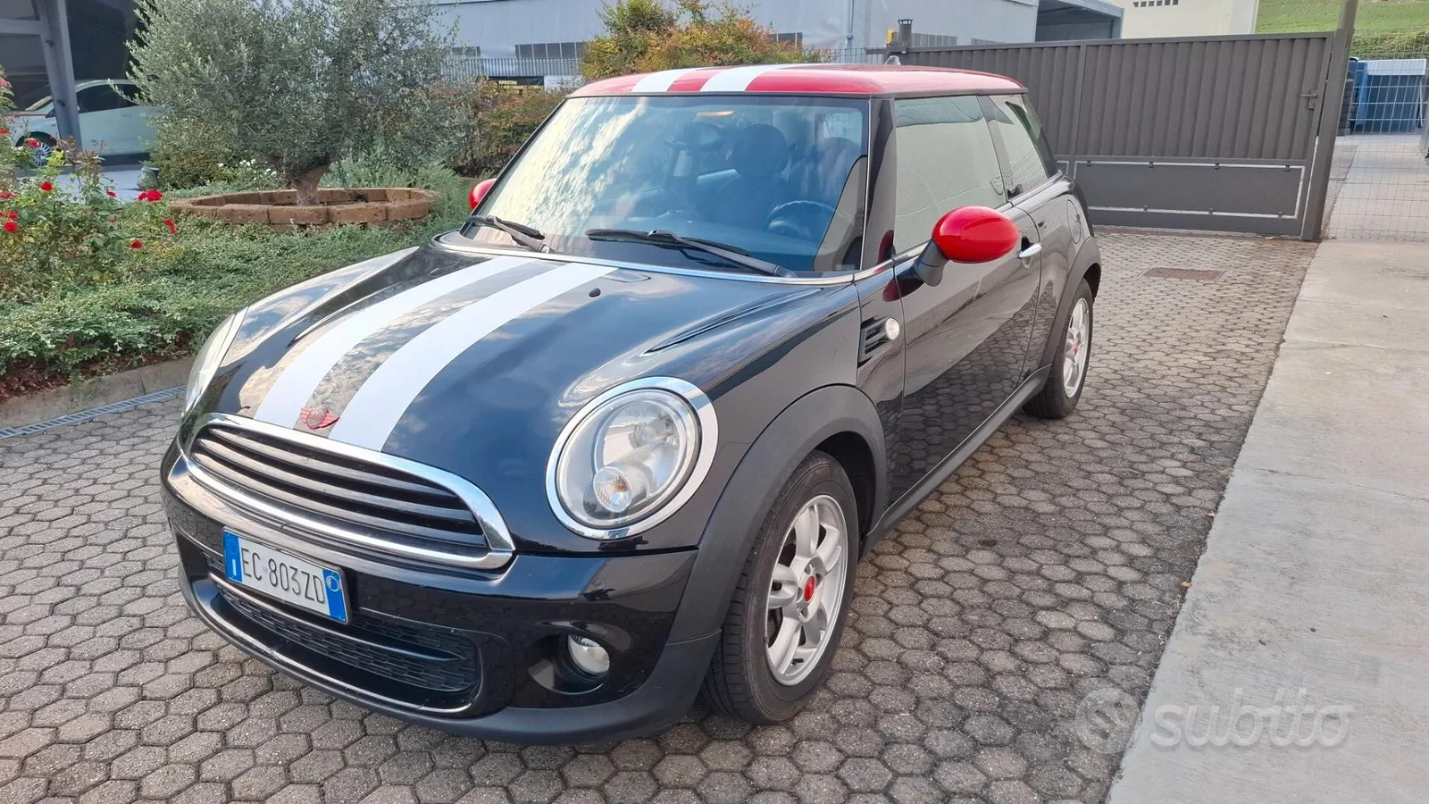 Mini Mini