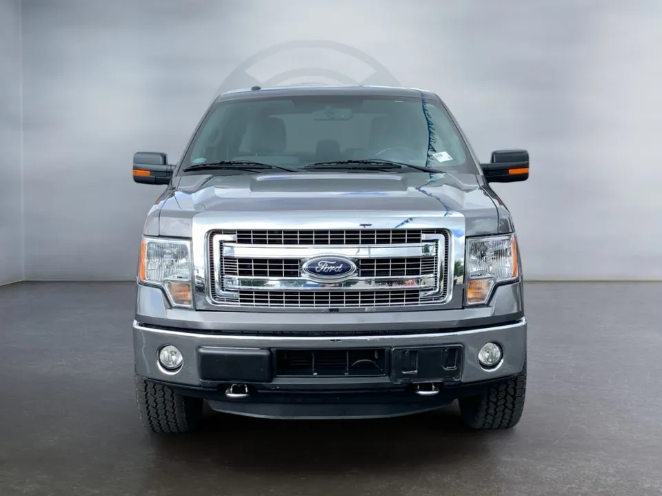 Ford F-150 2014 photo 2