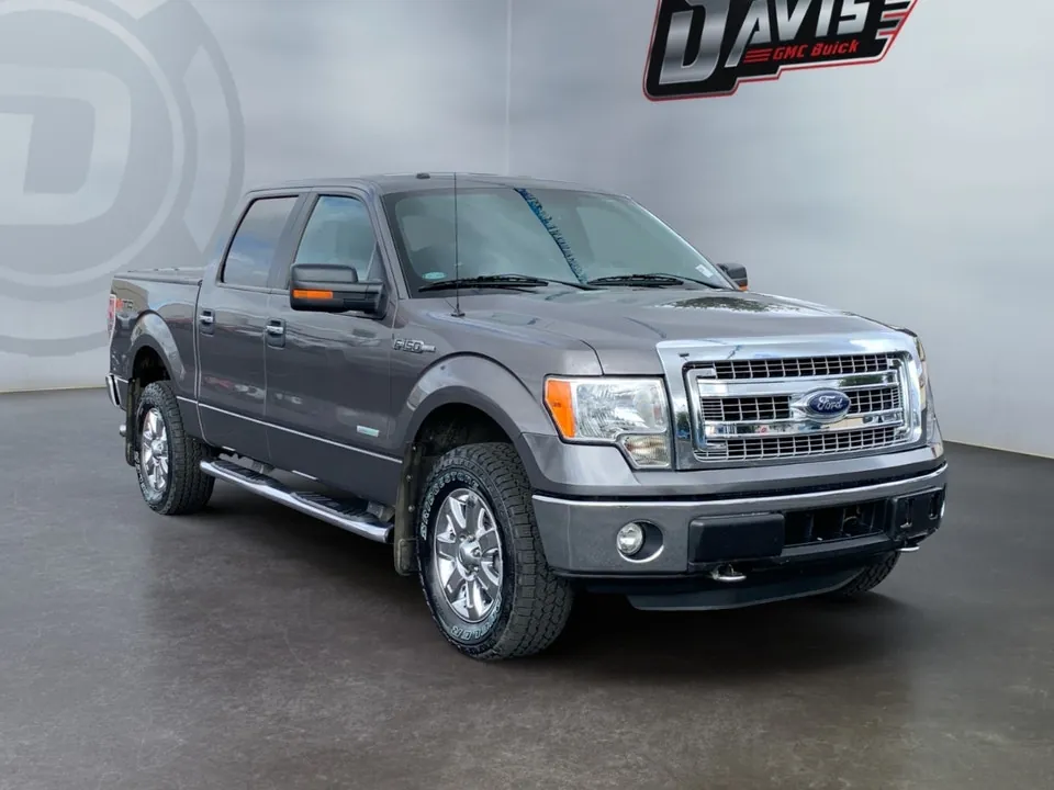 Ford F-150 2014 photo 3