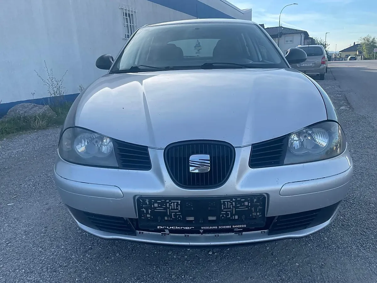 Seat Ibiza 2004 photo 2
