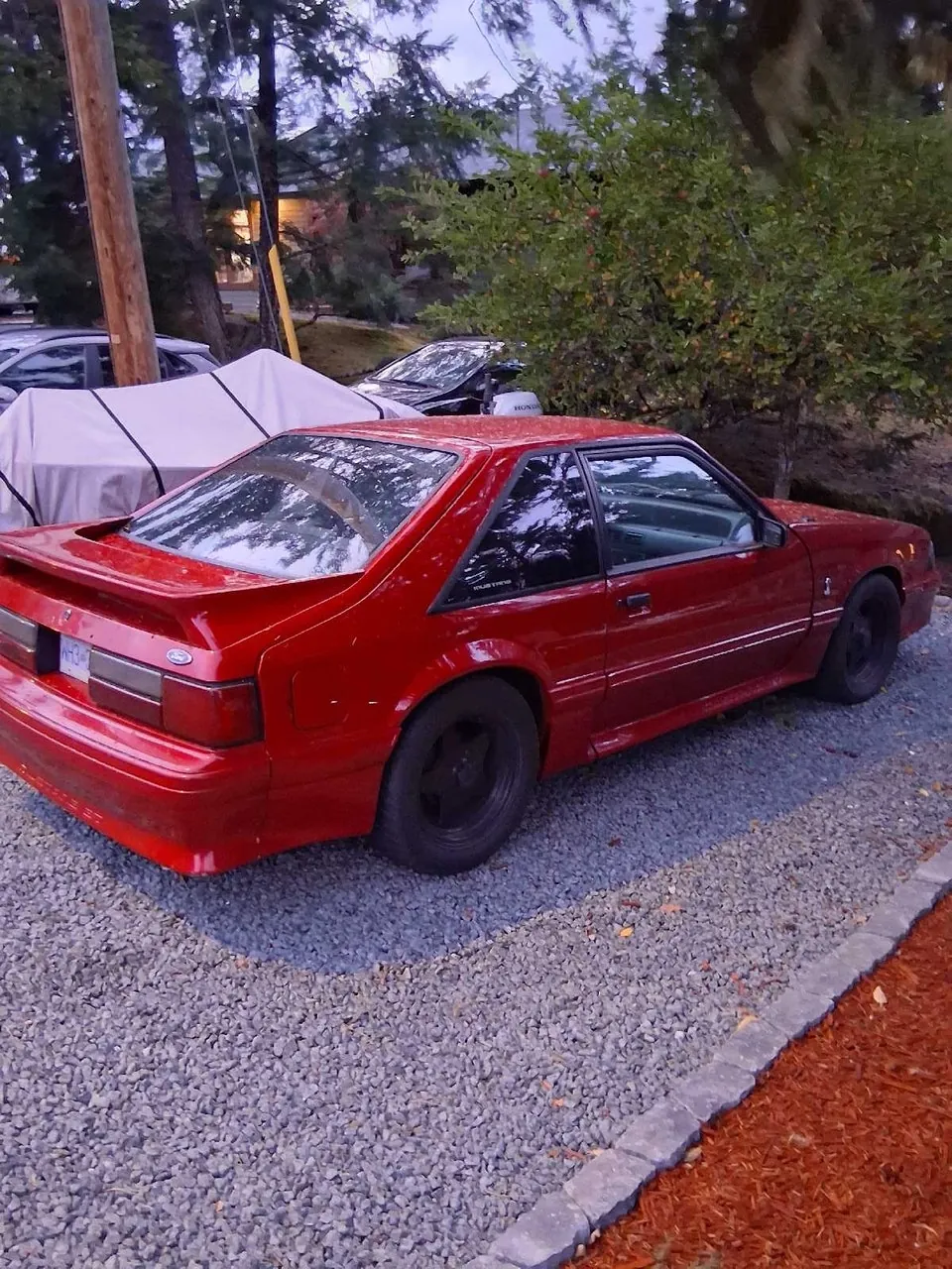 Ford Mustang 1988 photo 5