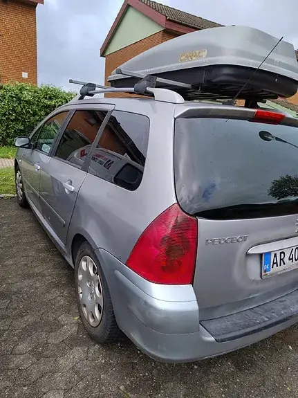 Peugeot 307 2004 photo 3