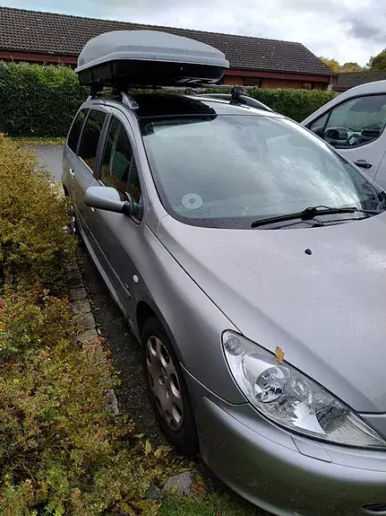 Peugeot 307 2004 photo 2