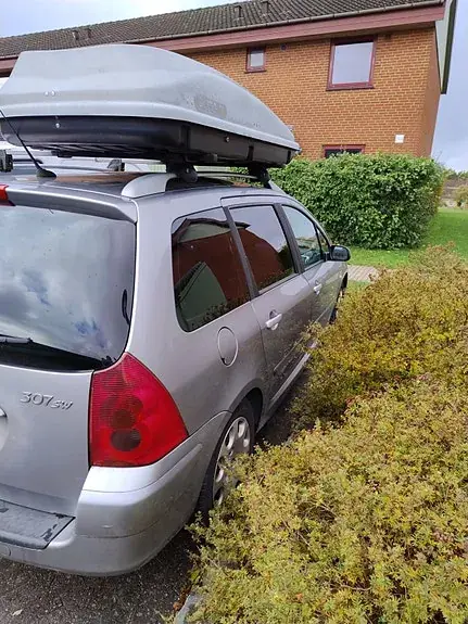 Peugeot 307 2004 photo 4