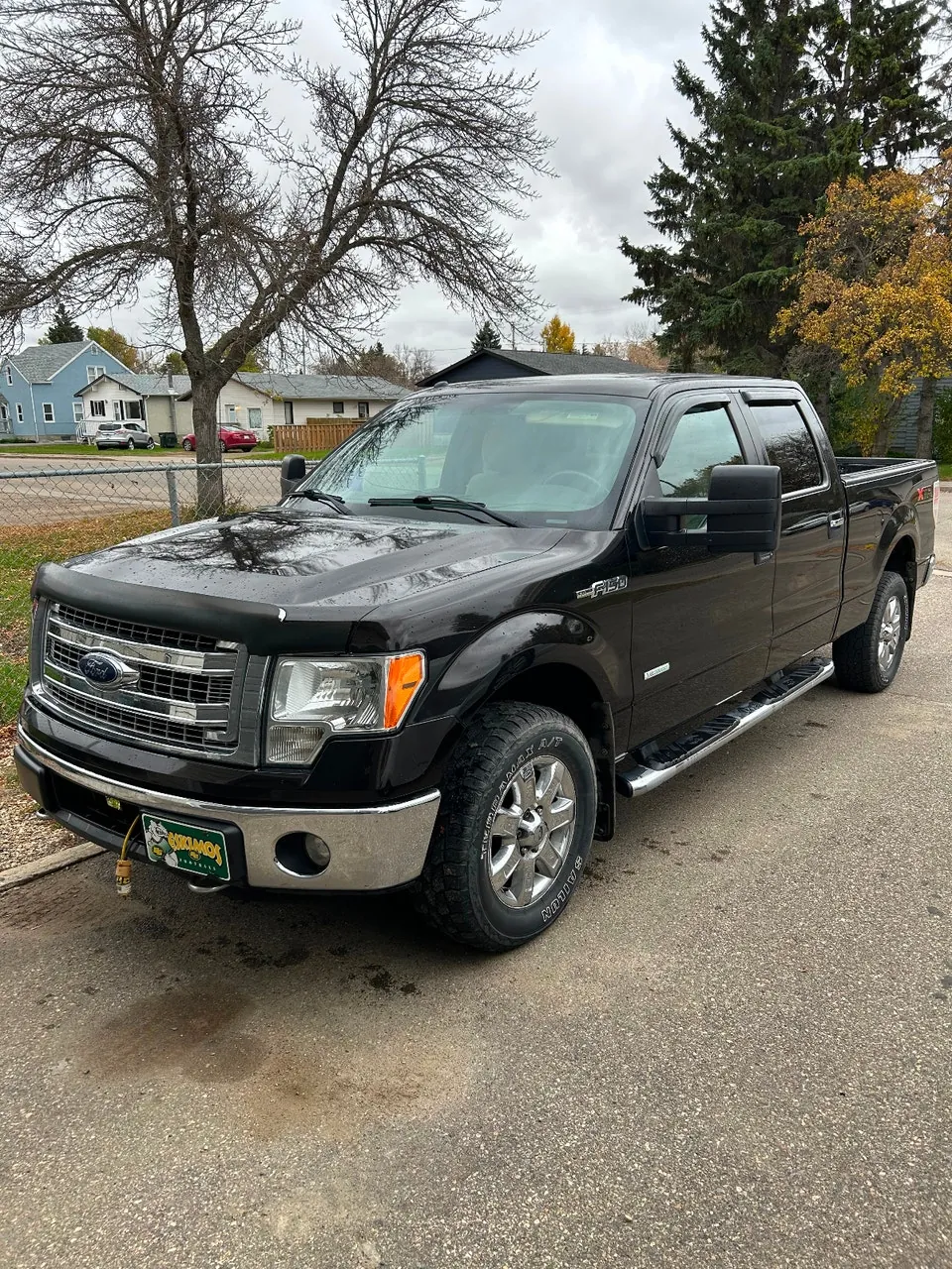 Ford F-150 2014 photo 3
