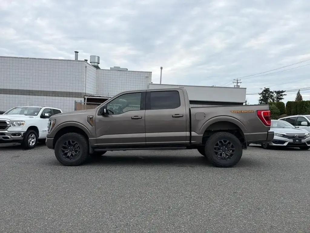 Ford F-150 2023 photo 3