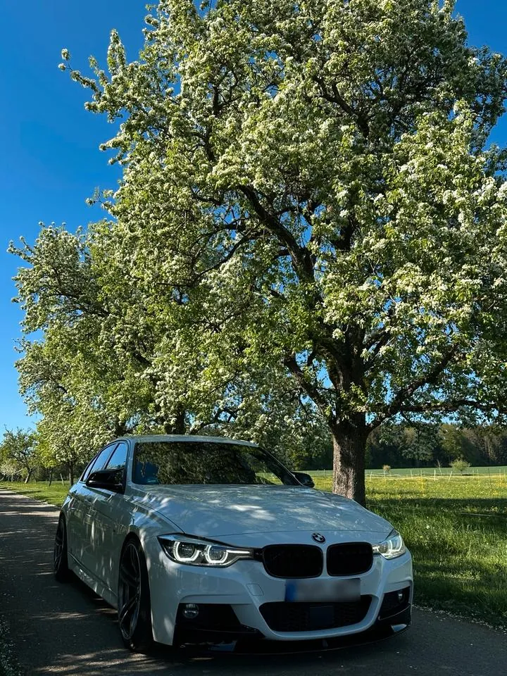 BMW F30