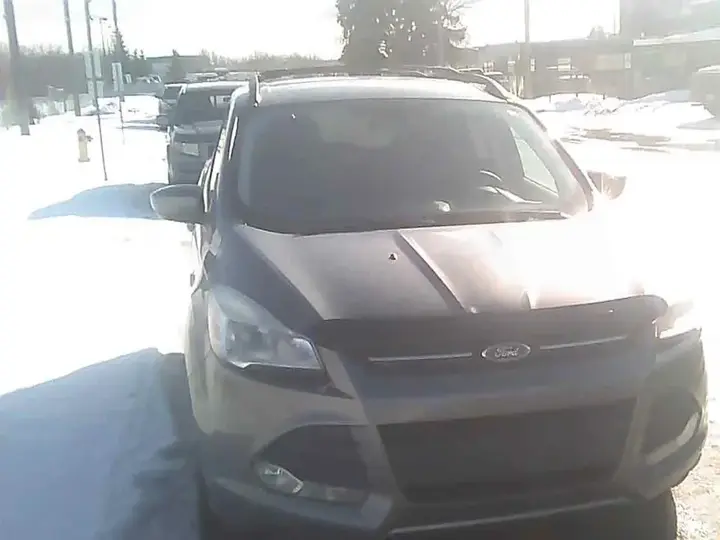 Ford Escape 2014 photo 2