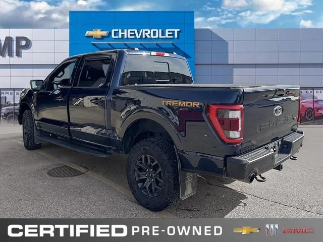 Ford F-150 Tremor 2023 photo 4