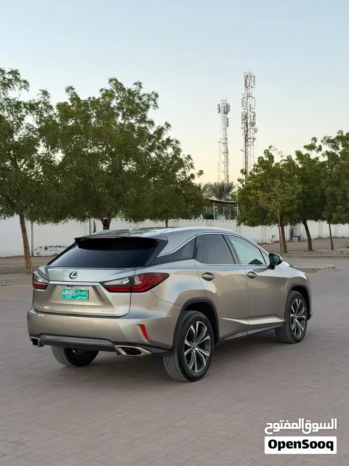 Lexus Rx 2019 photo 3