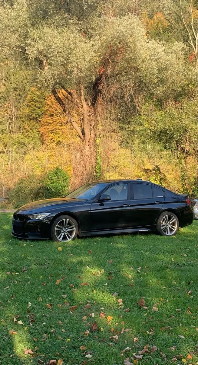 BMW 3 Series 2012 photo 2