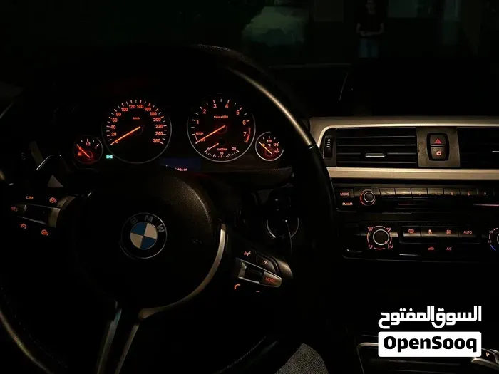 BMW 3 Series 2014 photo 5