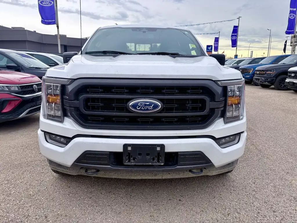 Ford F-150 2023 photo 3