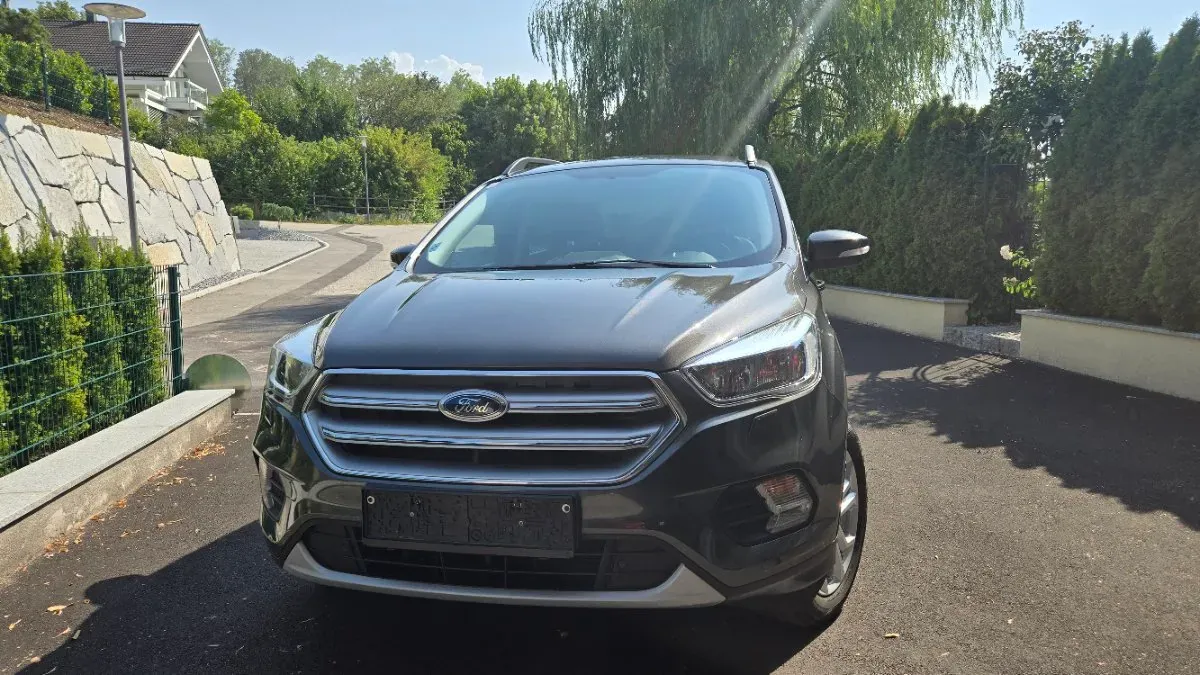 Ford Kuga 2019 photo 2
