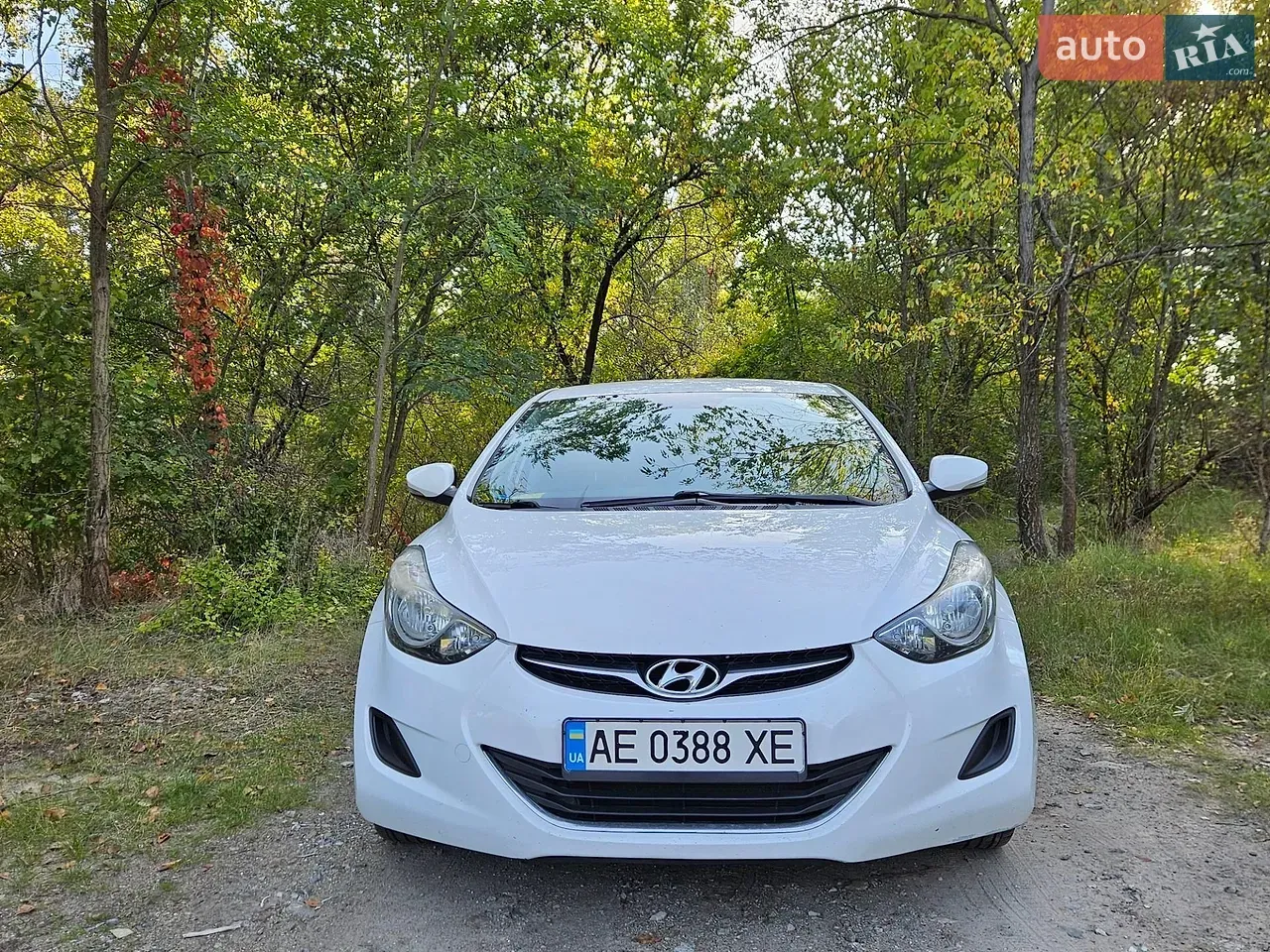 Hyundai Elantra 2013 photo 3