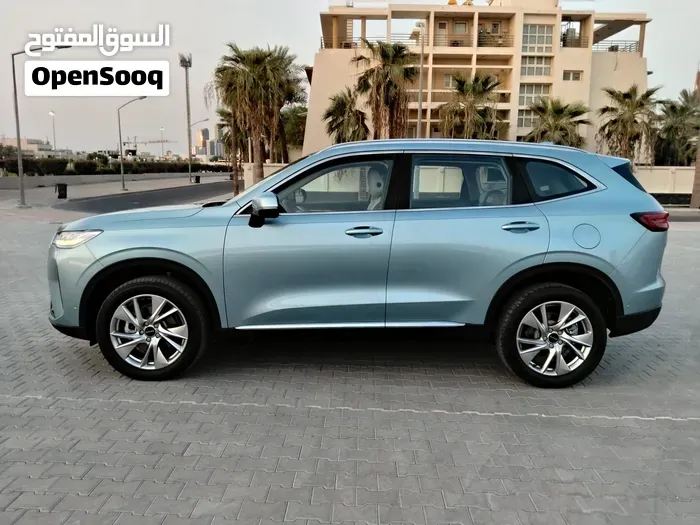 Haval H6 2022 photo 2