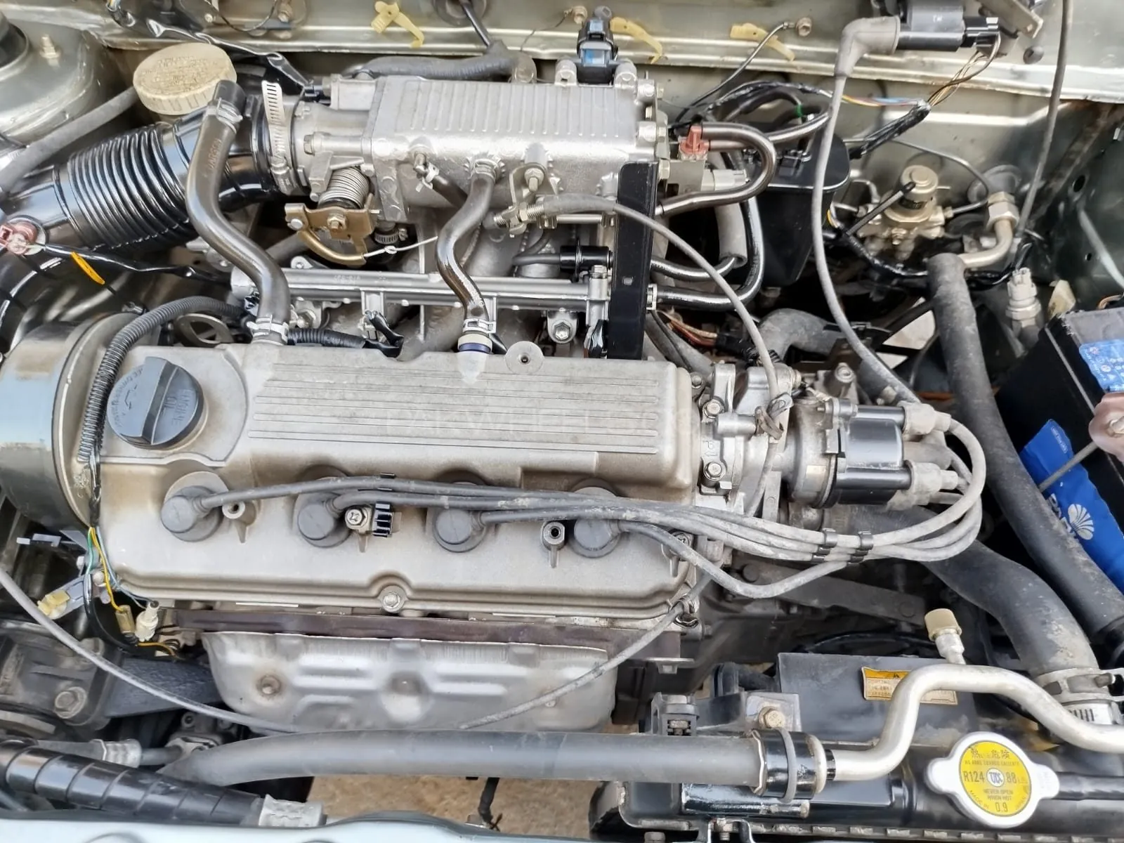 Suzuki Cultus