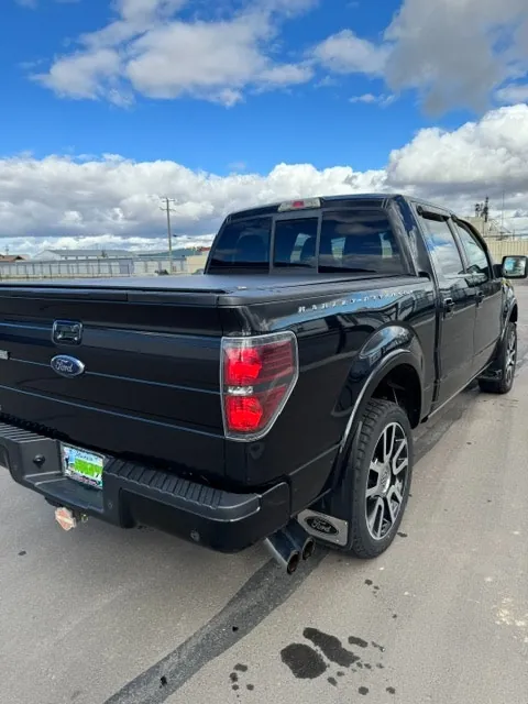 Ford F-150 2010 photo 3
