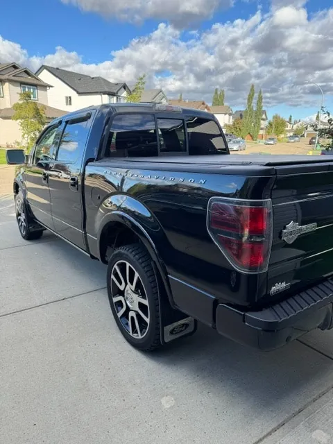 Ford F-150 2010 photo 2
