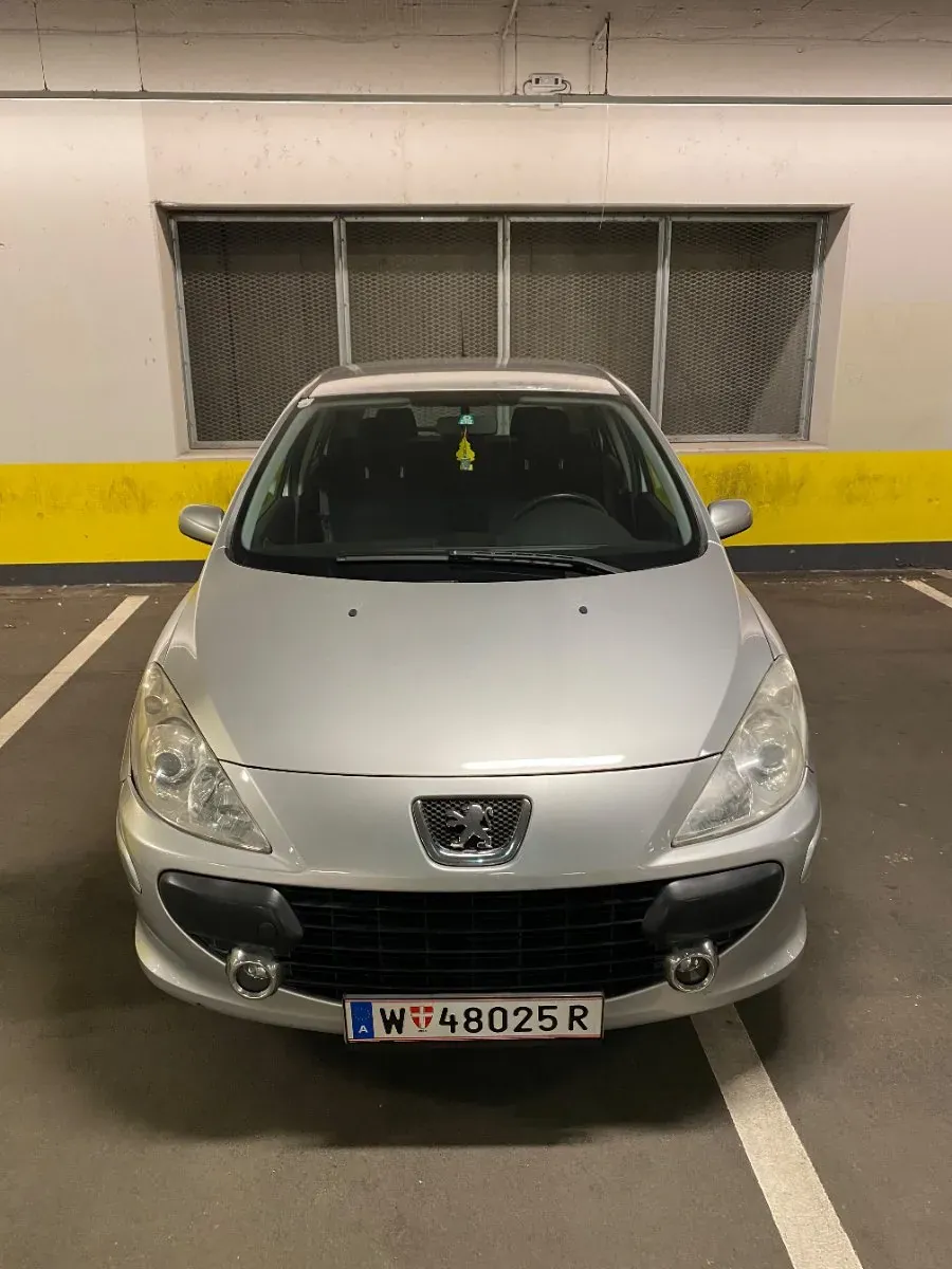 Peugeot 307 2006 photo 2