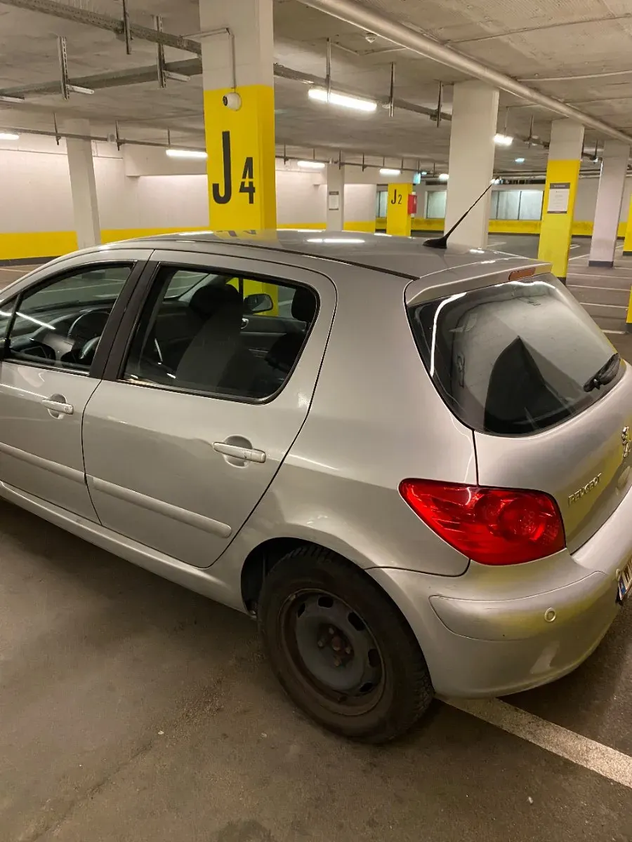 Peugeot 307 2006 photo 3