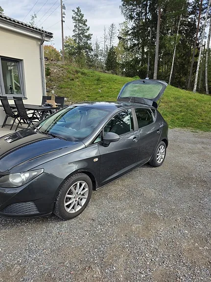 Seat Ibiza 2010 photo 3