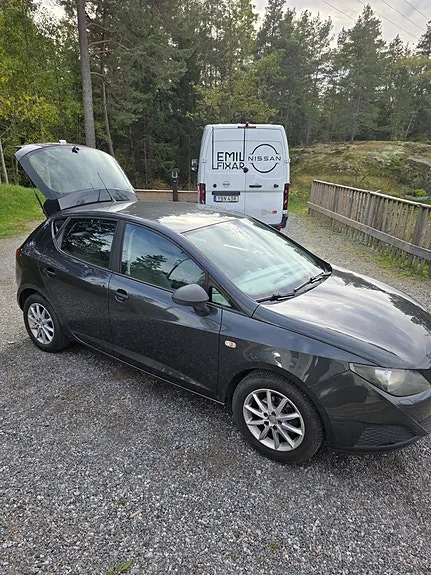 Seat Ibiza 2010 photo 2