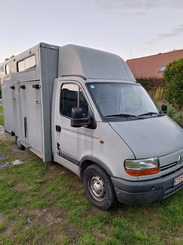 Renault Paarden