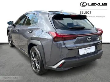 Lexus Ux 2024 photo 2