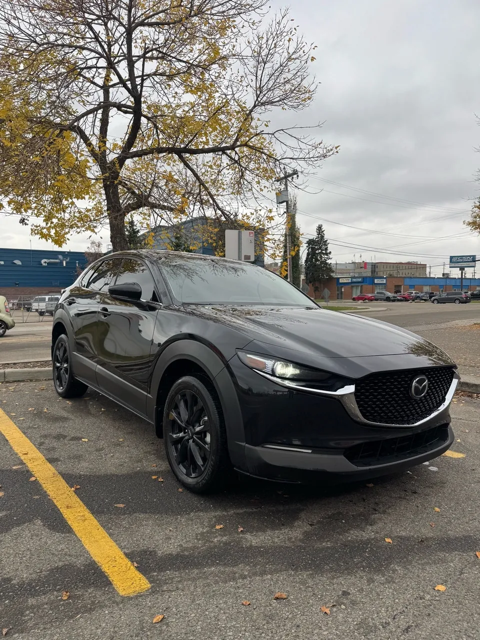 Mazda Cx-30 2020 photo 2