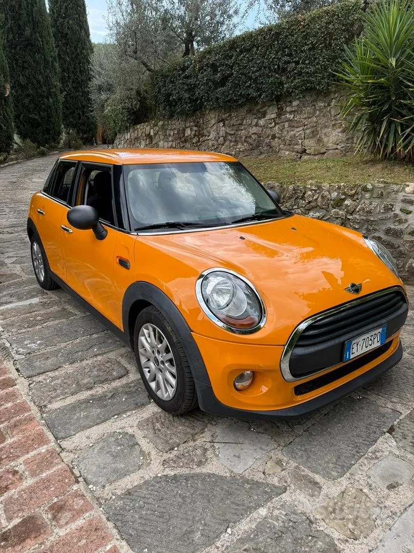 Mini Mini One