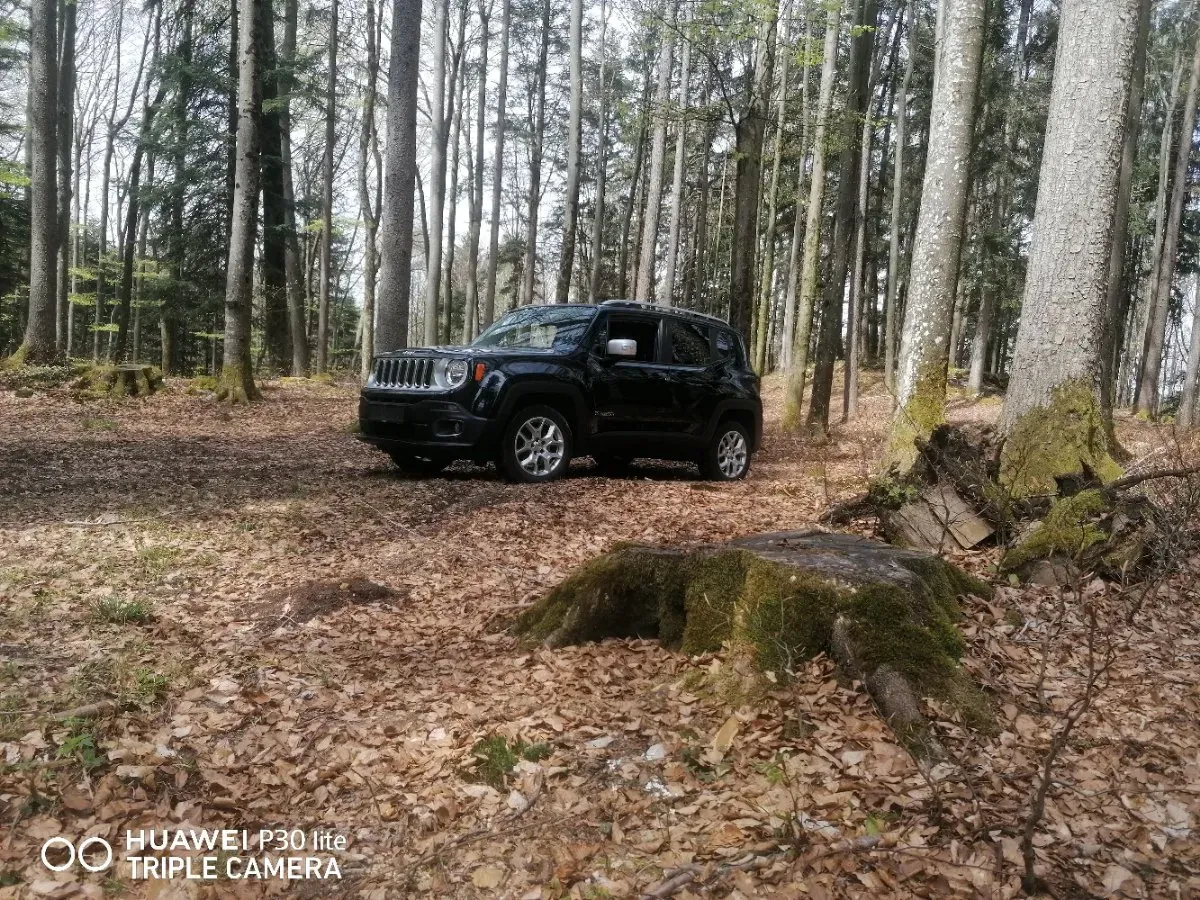 Jeep Renegade 2015 photo 2