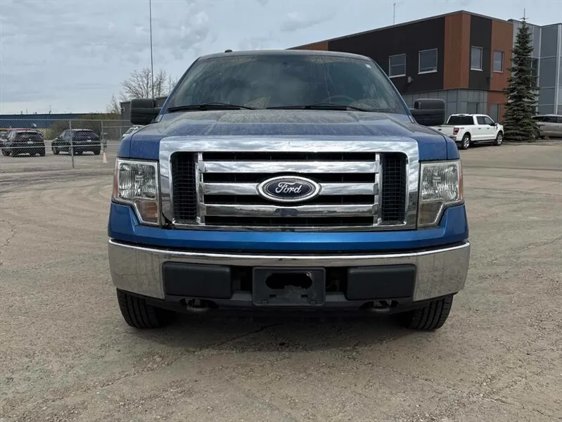Ford F-150 2010 photo 2